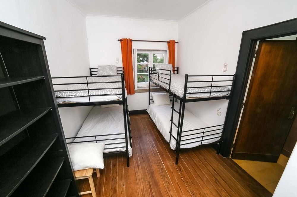 Surfivor Surf Hostal