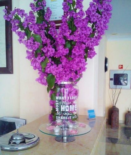 Hotel Apolo Vila Real de Santo António