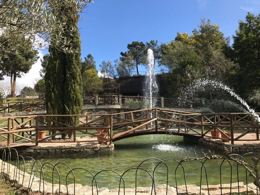 Olive Nature & - Quinta Valle De Passos Valpacos