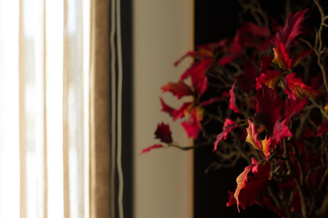 Garca Real & - Singular's Hotel Montemor-o-Velho