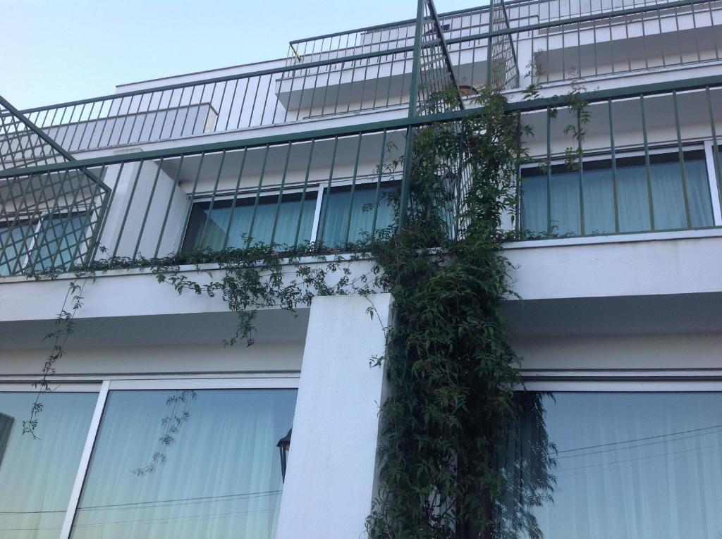 Hotel Grande 3*