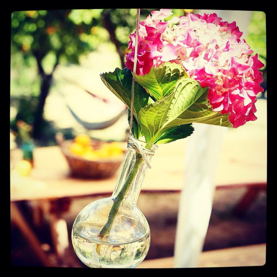 Country house Olival Das Hortas *