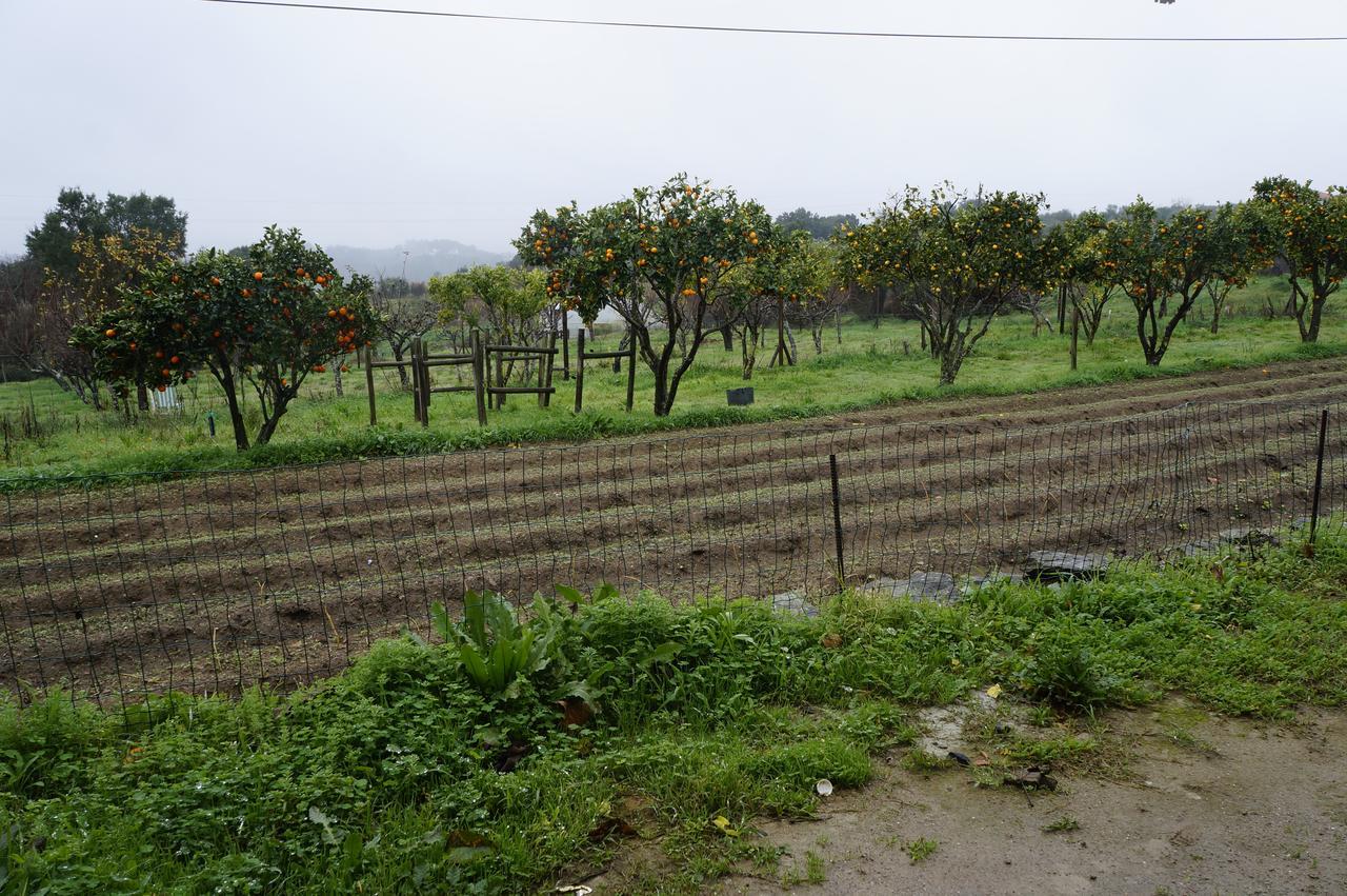 Quinta De Sao Jose Dos Montes Ferreira do Zezere
