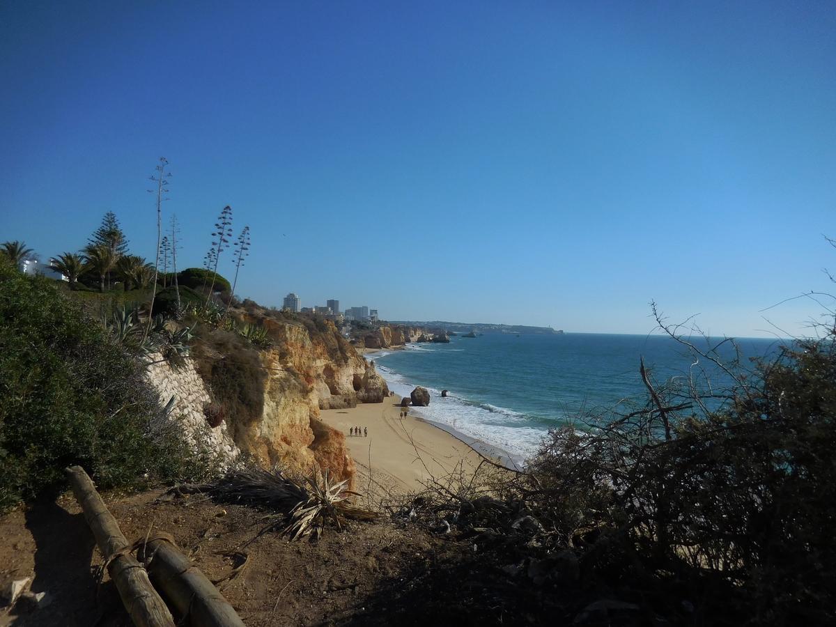 Casa Tres Palmeiras Bed & Breakfast *