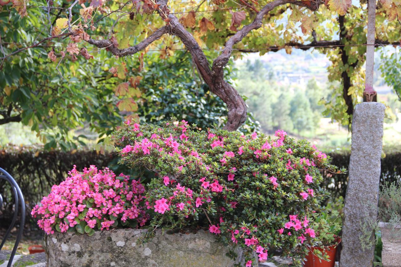 Country house Quinta De Canhoes Sao Pedro do Sul