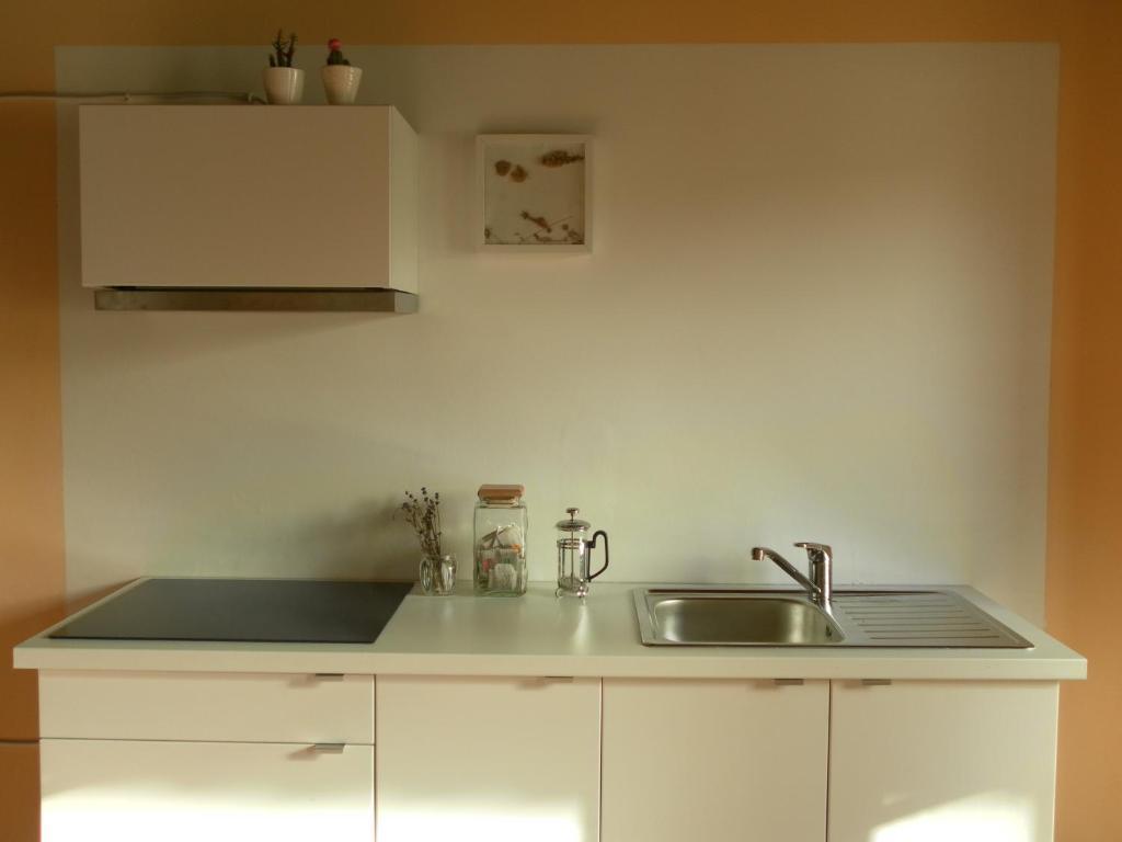 Hostel Lemon Tree