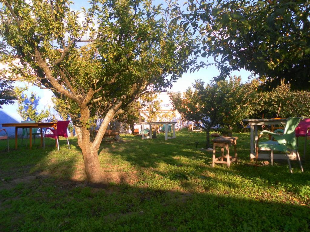 Lemon Tree Hostel Areia Branca