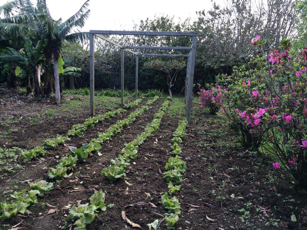 Quinta De Santa Clara Farm stay *