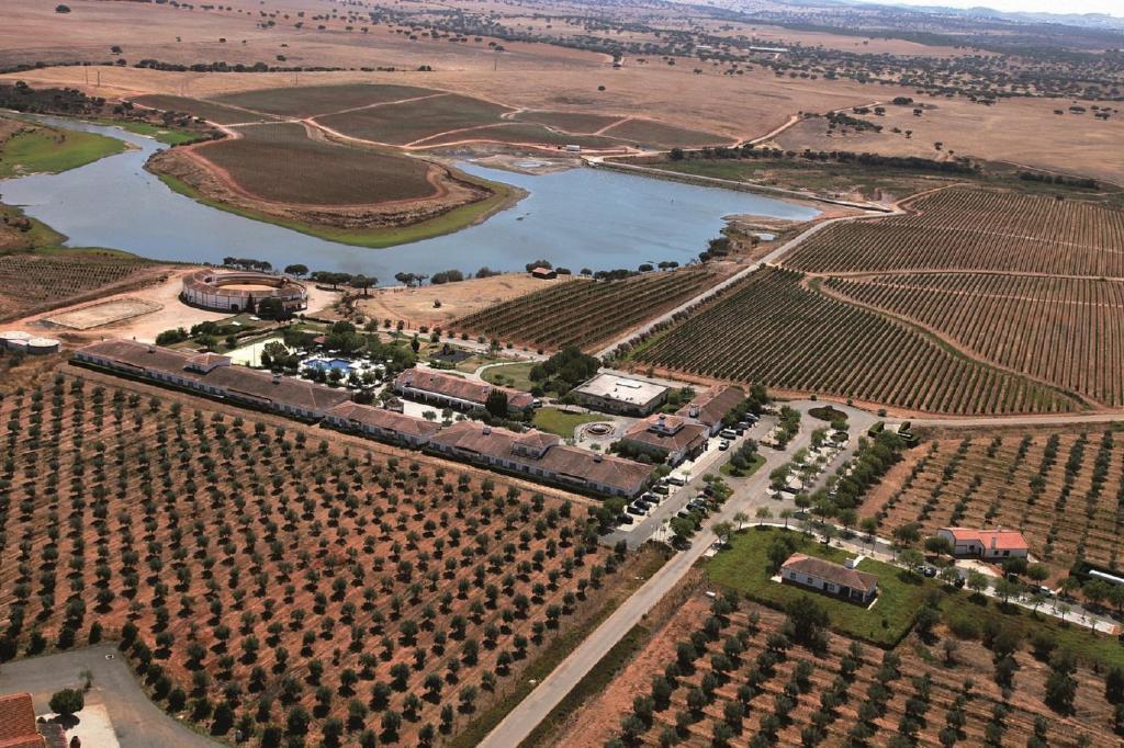 Hotel Gale Alentejo Vineyard - Clube De Campo