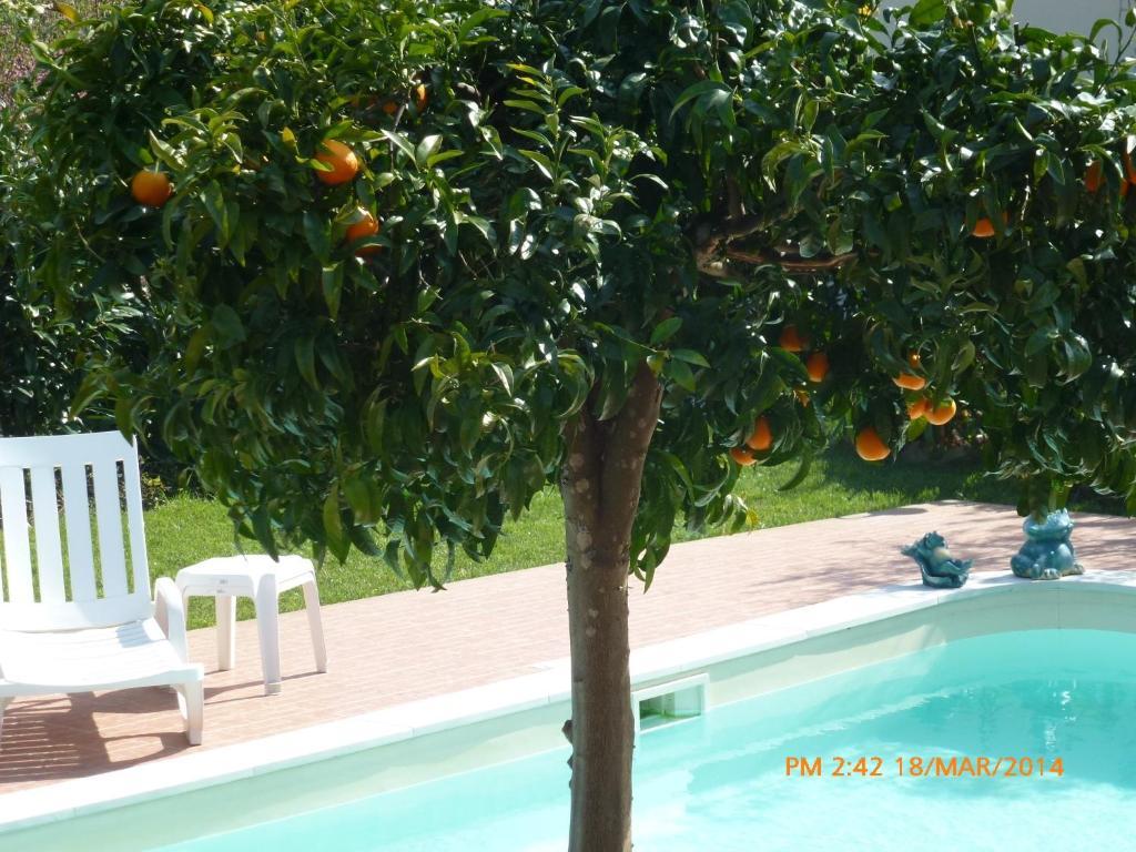 Casal Da Corticada Country house Serta