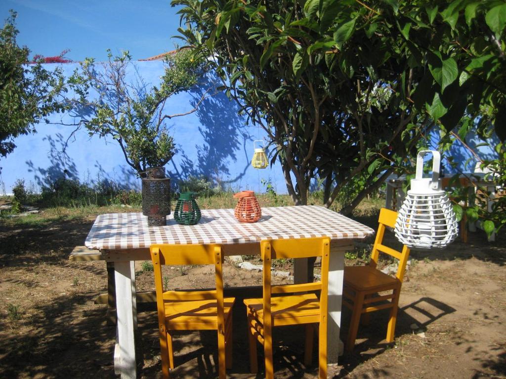Lemon Tree Hostel