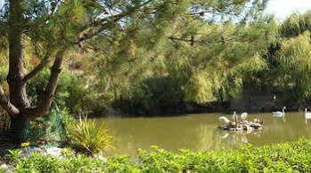 Jardins Da Ria Torreira