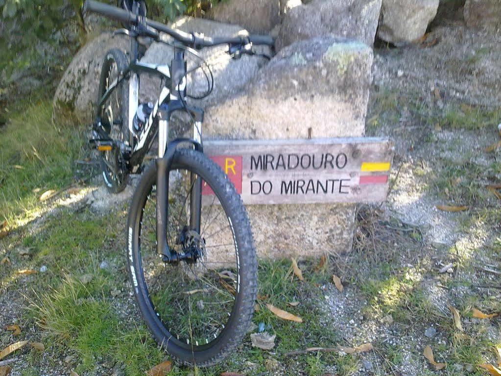 Moderna Do 2*