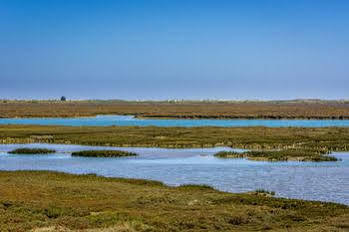 Holiday home Pedras Del Rey Luz de Tavira