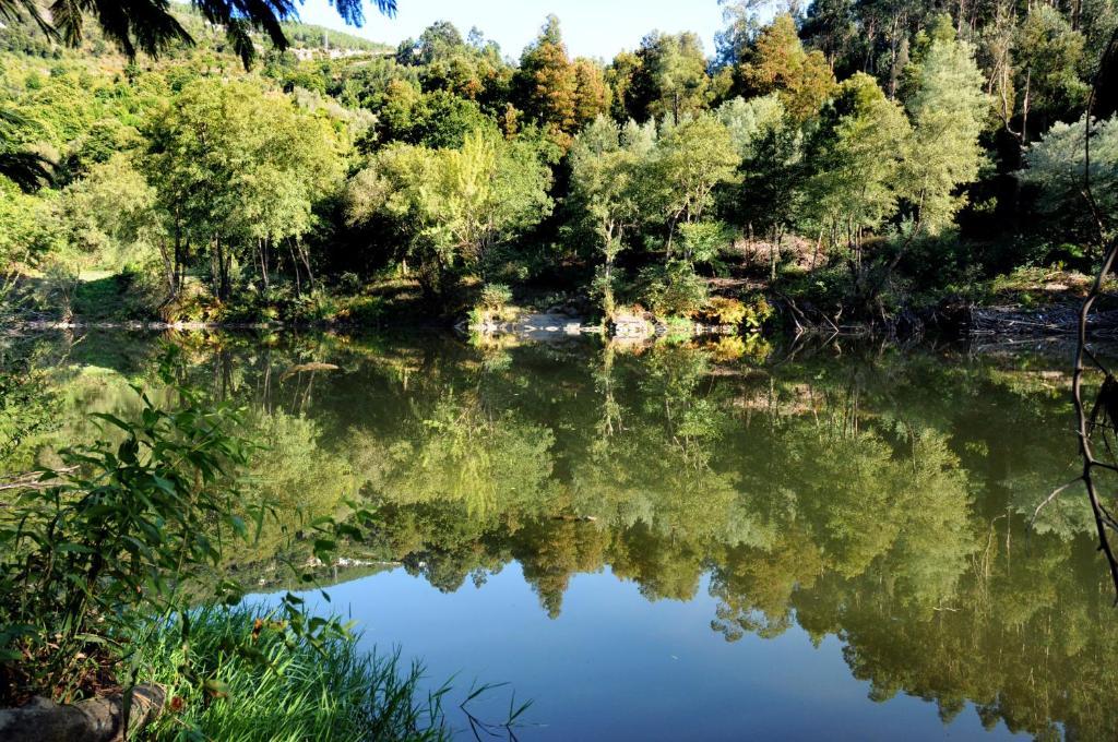 Quinta Escomoeiras Farm stay