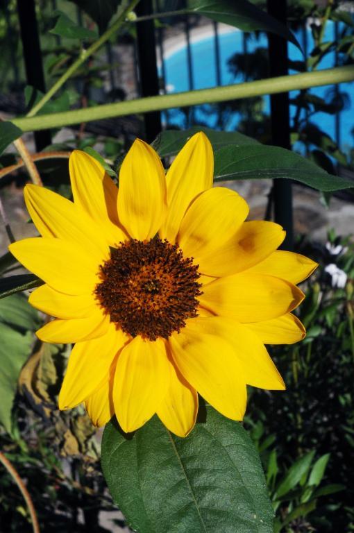 Quinta Escomoeiras Farm stay *