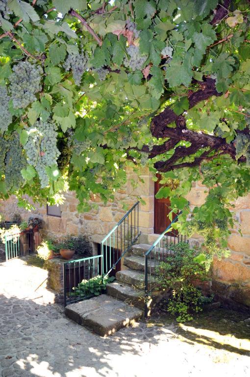 Vakantieboerderij Quinta Escomoeiras *