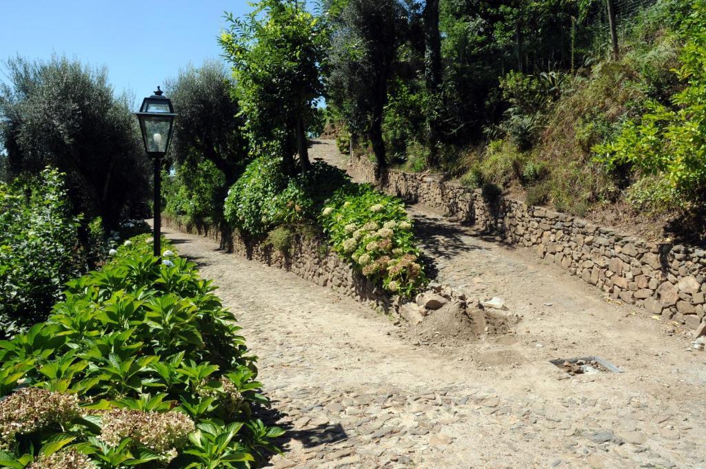Quinta Escomoeiras Farm stay *