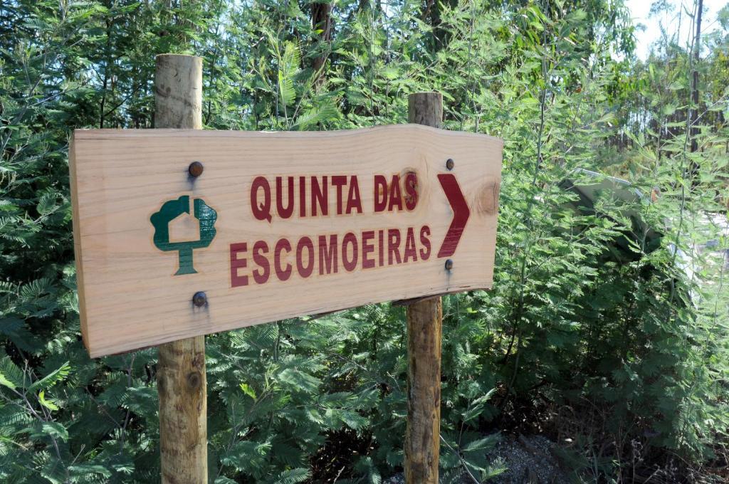 Vakantieboerderij Quinta Escomoeiras *
