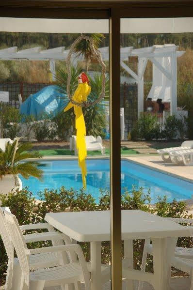 Guest house Quinta Da Rosa Linda Monte Gordo