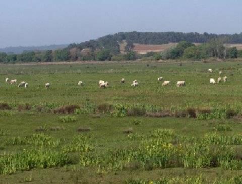 Rural Monte Da Leziria
