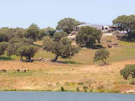 Monte Velho Equo-resort Country house