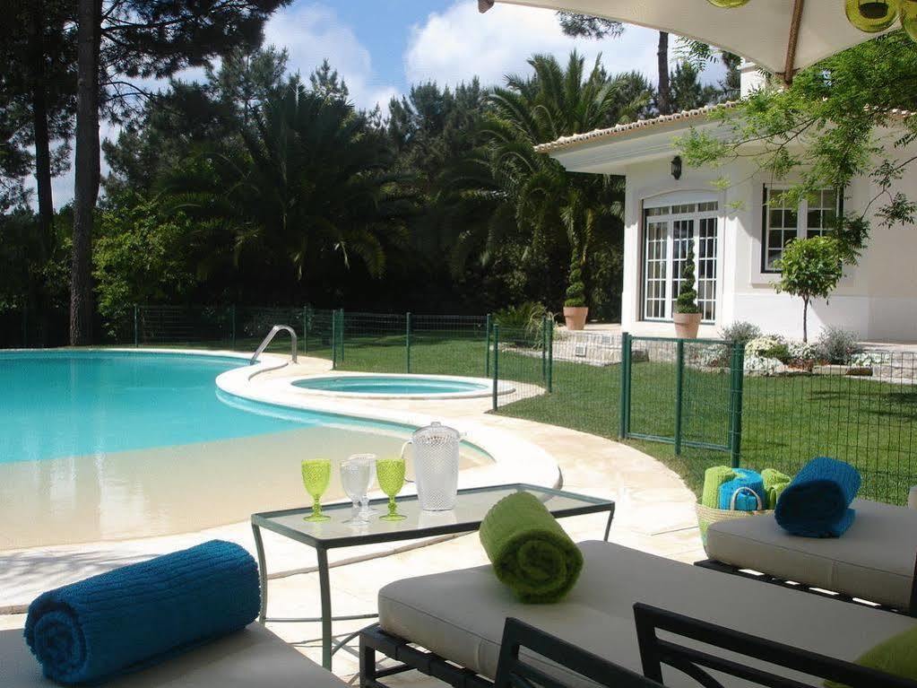 Guest house Oasis 3*