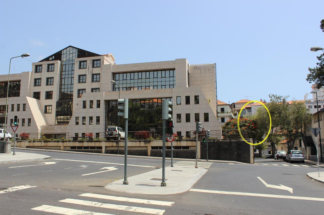 Madeira Center * Funchal (Madeira)