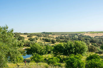 Hotel Rural Monte Da Provenca Elvas