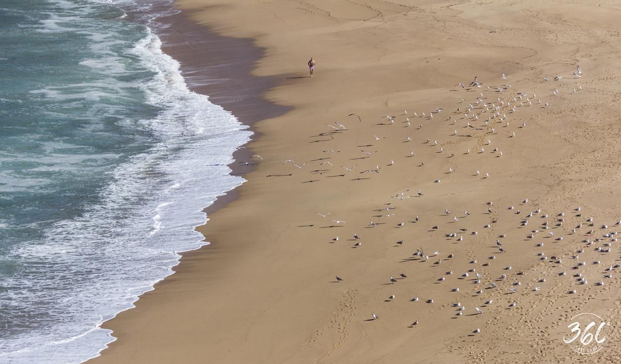 Albergue Surf Camp 360 *