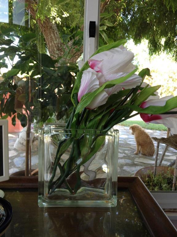 Guest house Verdemar *