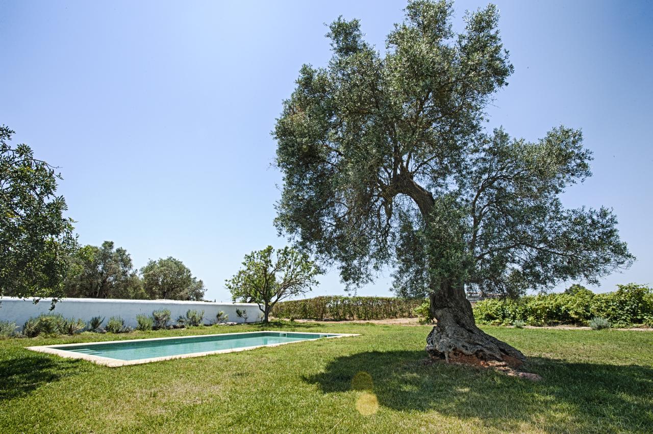 Morgado Do Quintao Lagoa (Algarve)