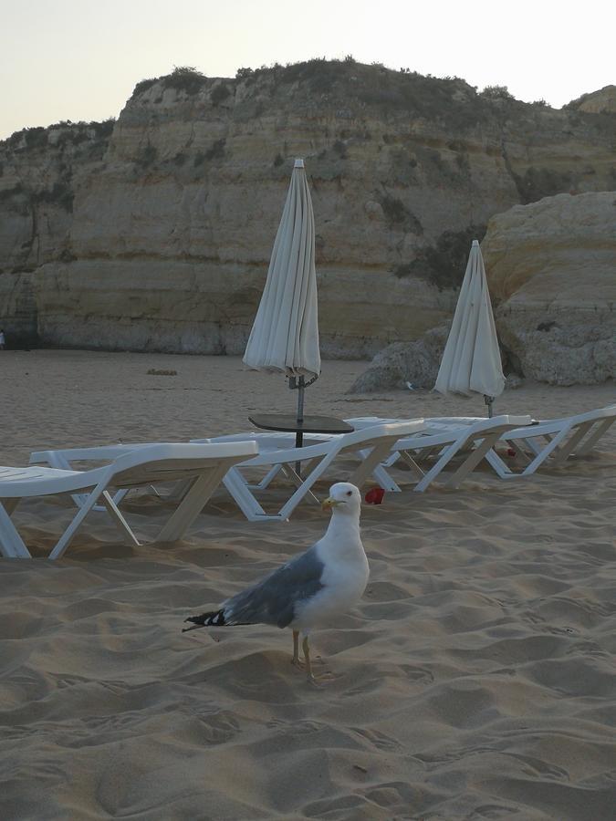 Apartment Apartamento Praia Da Rocha Varandas Do Sol 2 Portimao