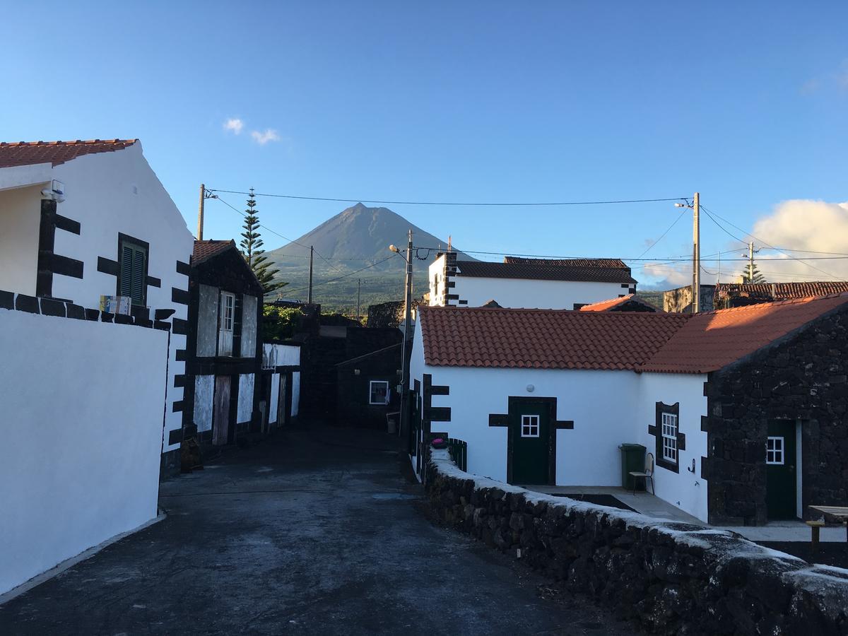 Casa Do Avo Cristiano Holiday home Madalena (Azores)