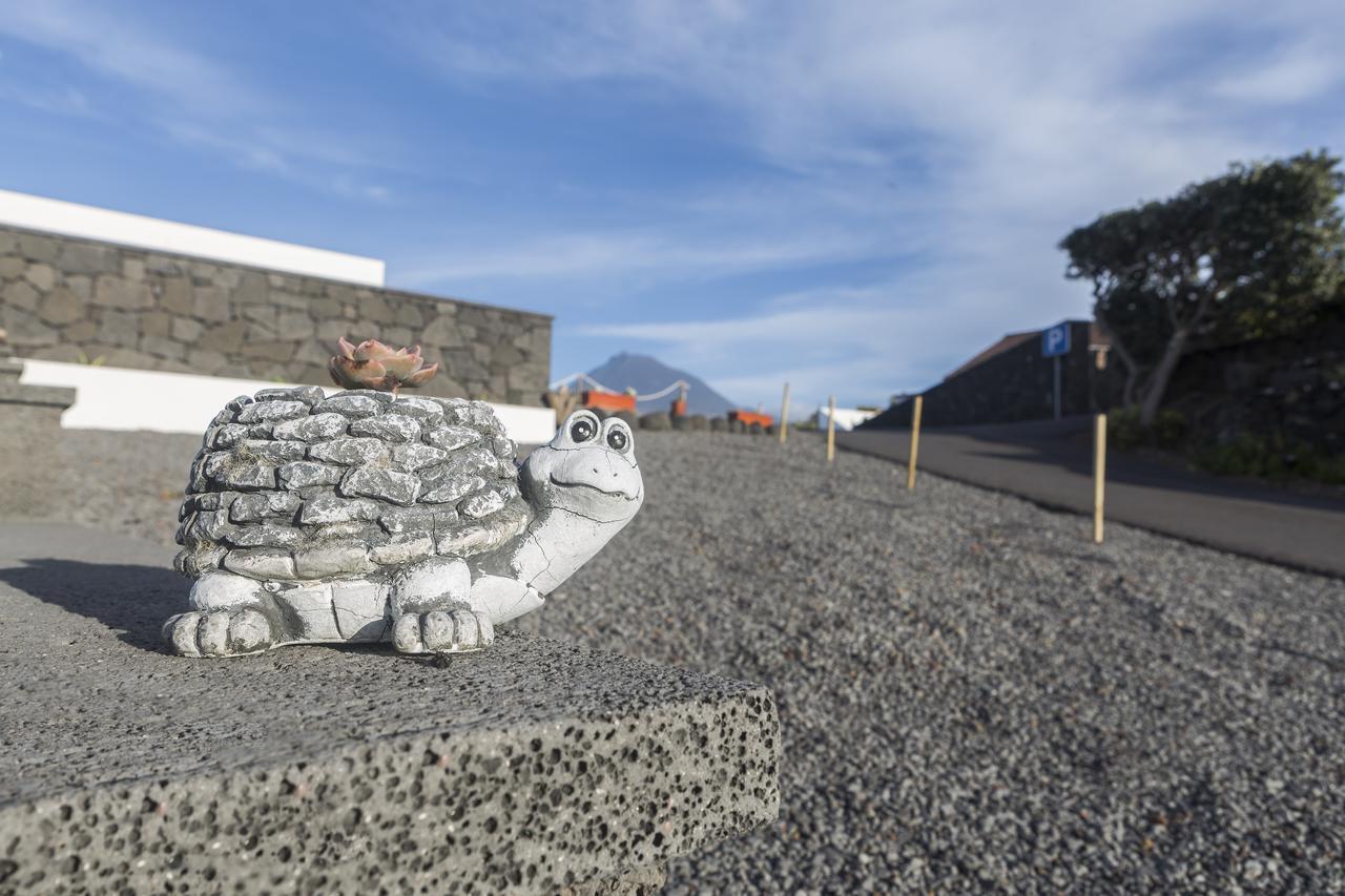 Hotel Barca Madalena (Azores)