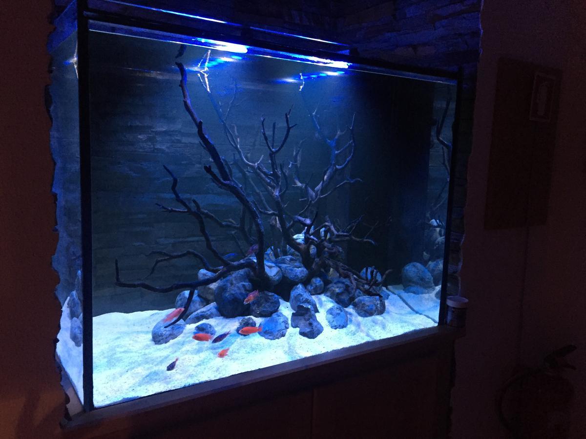 Apartment Aquarium House *