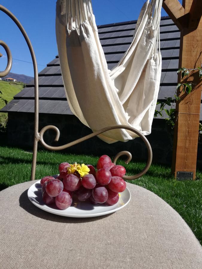 Bed & Breakfast Palheiros Do Serrado By Real Vision Estreito Da Calheta