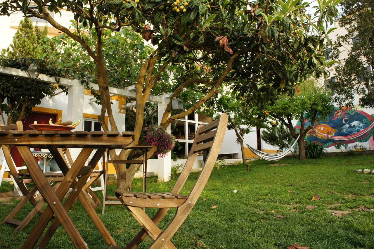 Hostel Olive3