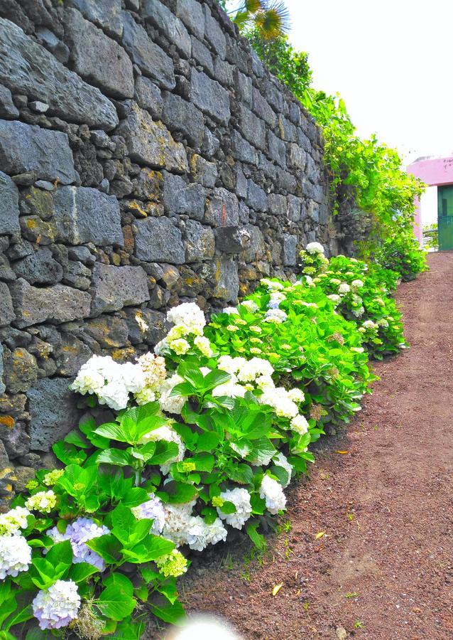 Country house Quinta Nossa Senhora De Lourdes Capelas