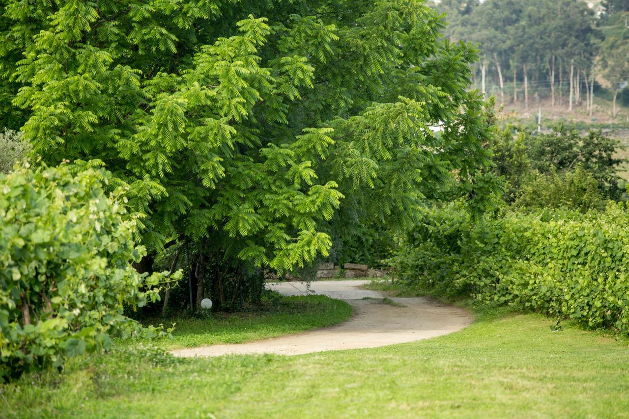 Quinta De Lourosa *