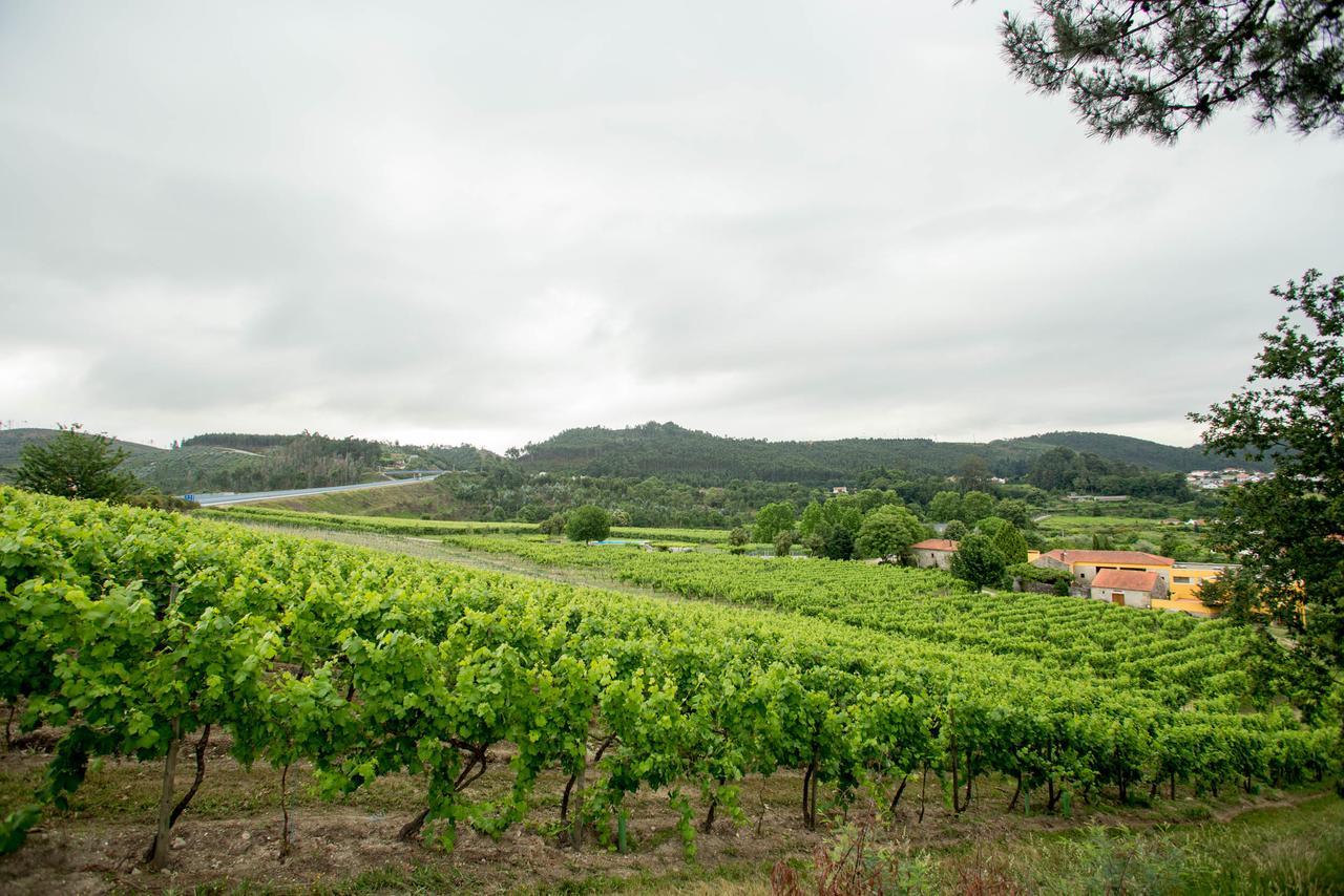 Quinta De Lourosa Country house Lousada