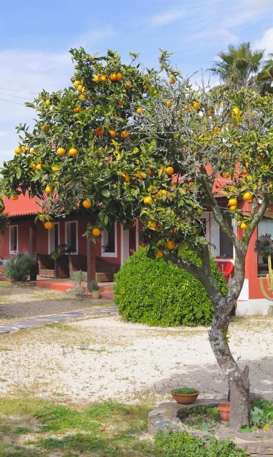 Monte Da Xica - Somente Adultos Country house Zambujeira do Mar