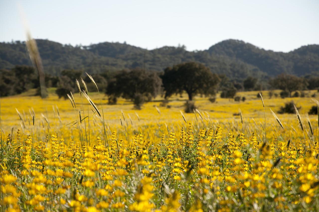Herdade Barradas Da Serra Estadia no rancho *
