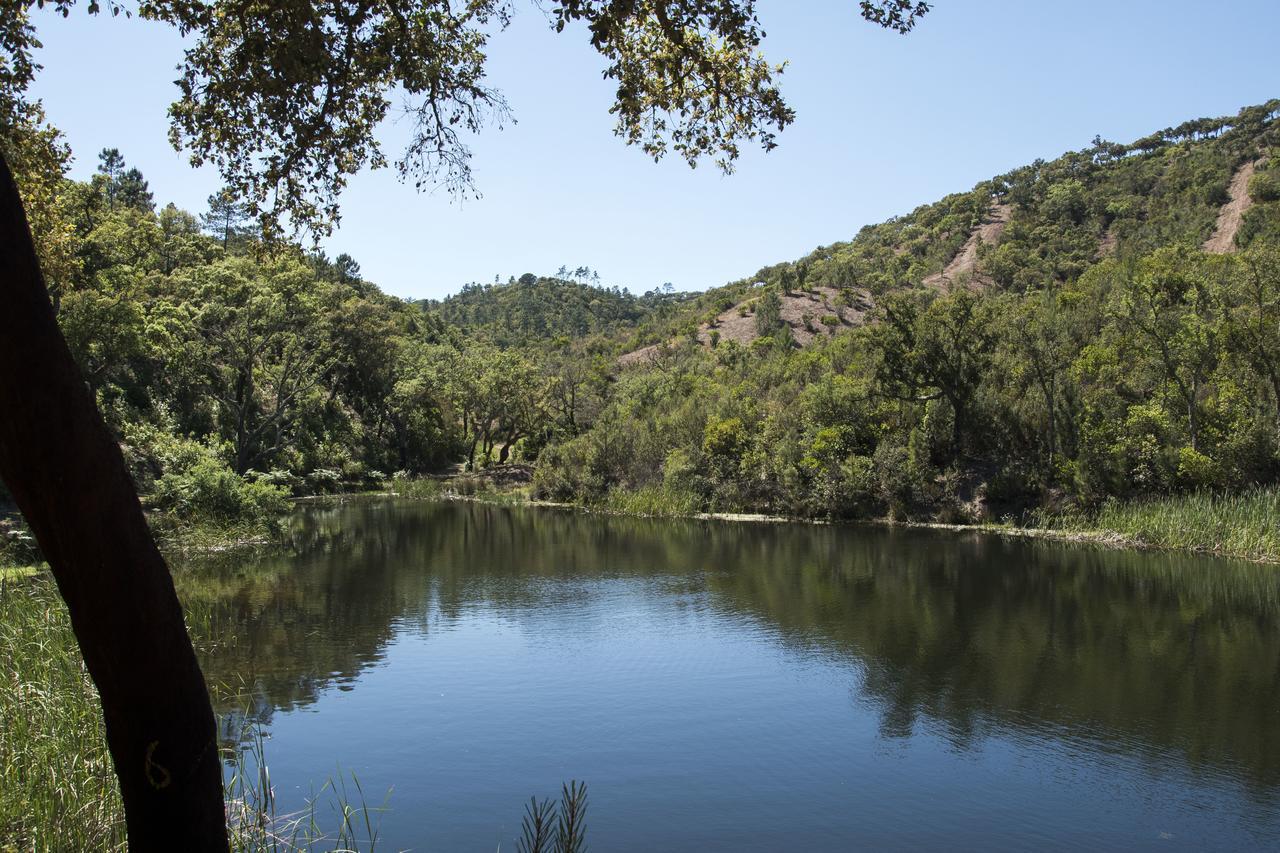 Agroturismo Herdade Barradas Da Serra
