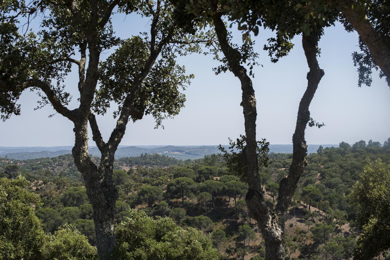 Herdade Barradas Da Serra Grândola