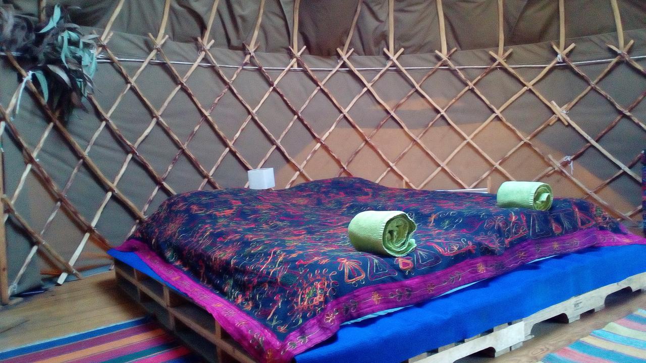 Quinta De Sao Jose Dos Montes Farm stay