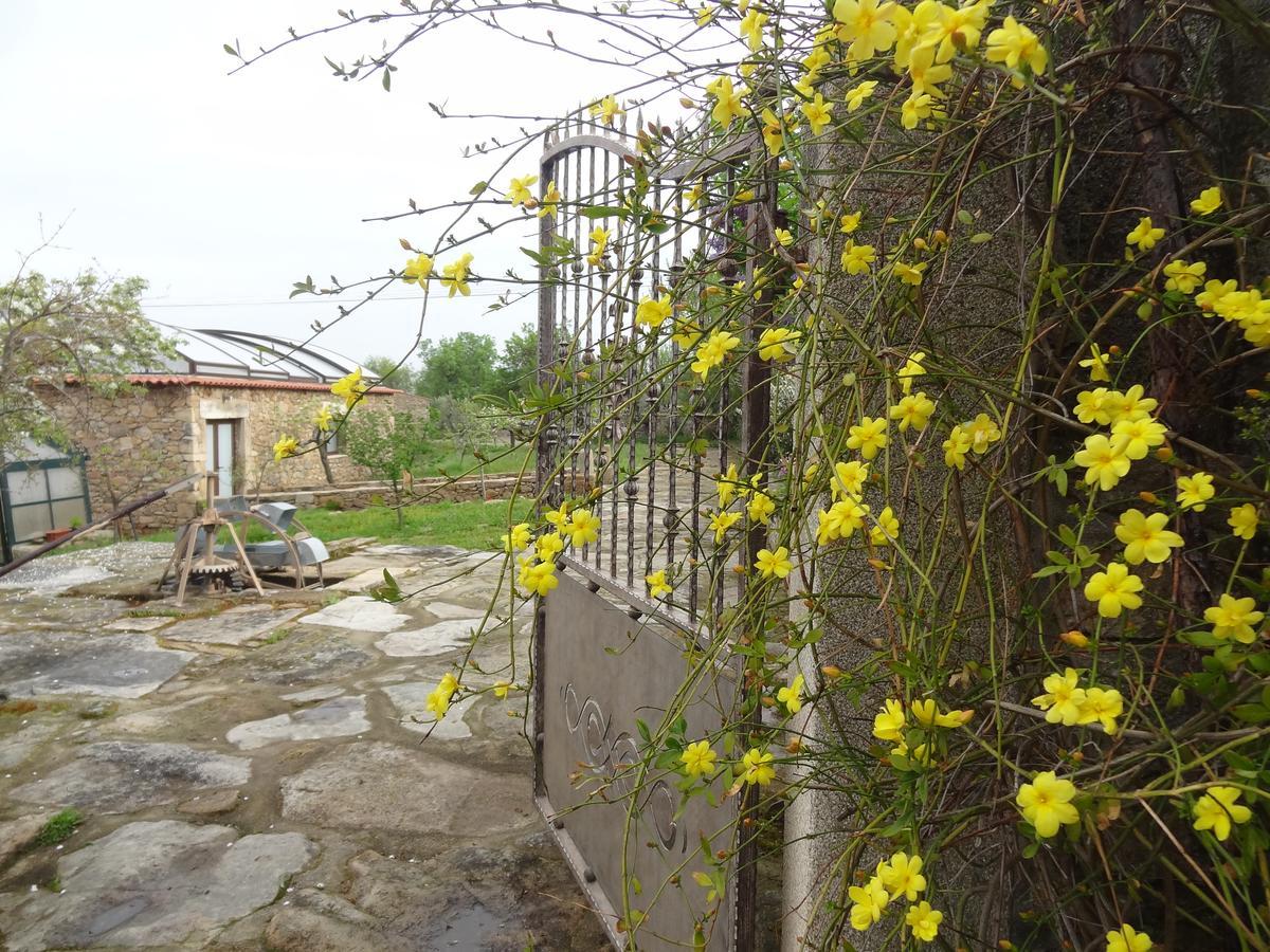Casas Do - Country 3*