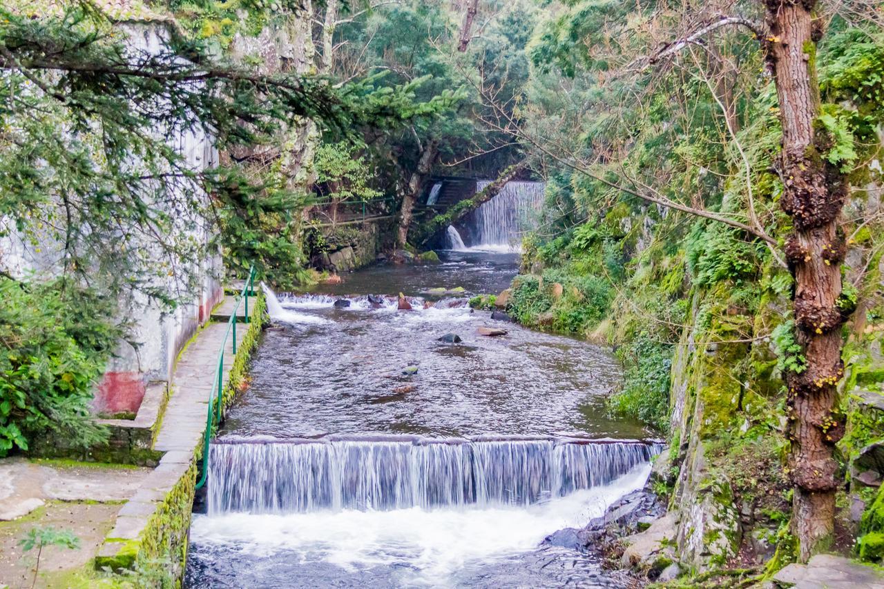 Quintal De Alem Do Ribeiro-turismo Rural 3*