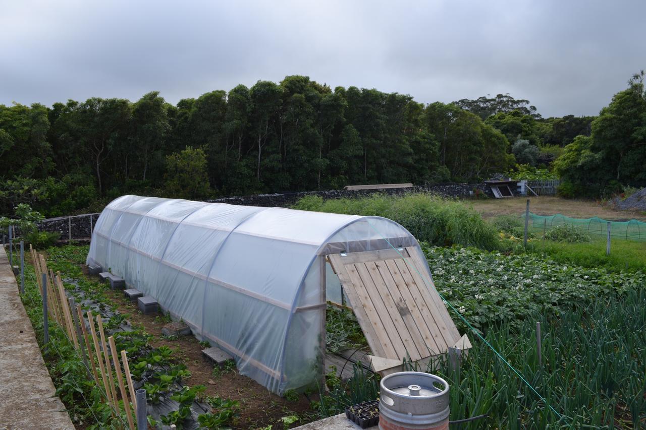 Adega Mendes Farm stay Porto Martins