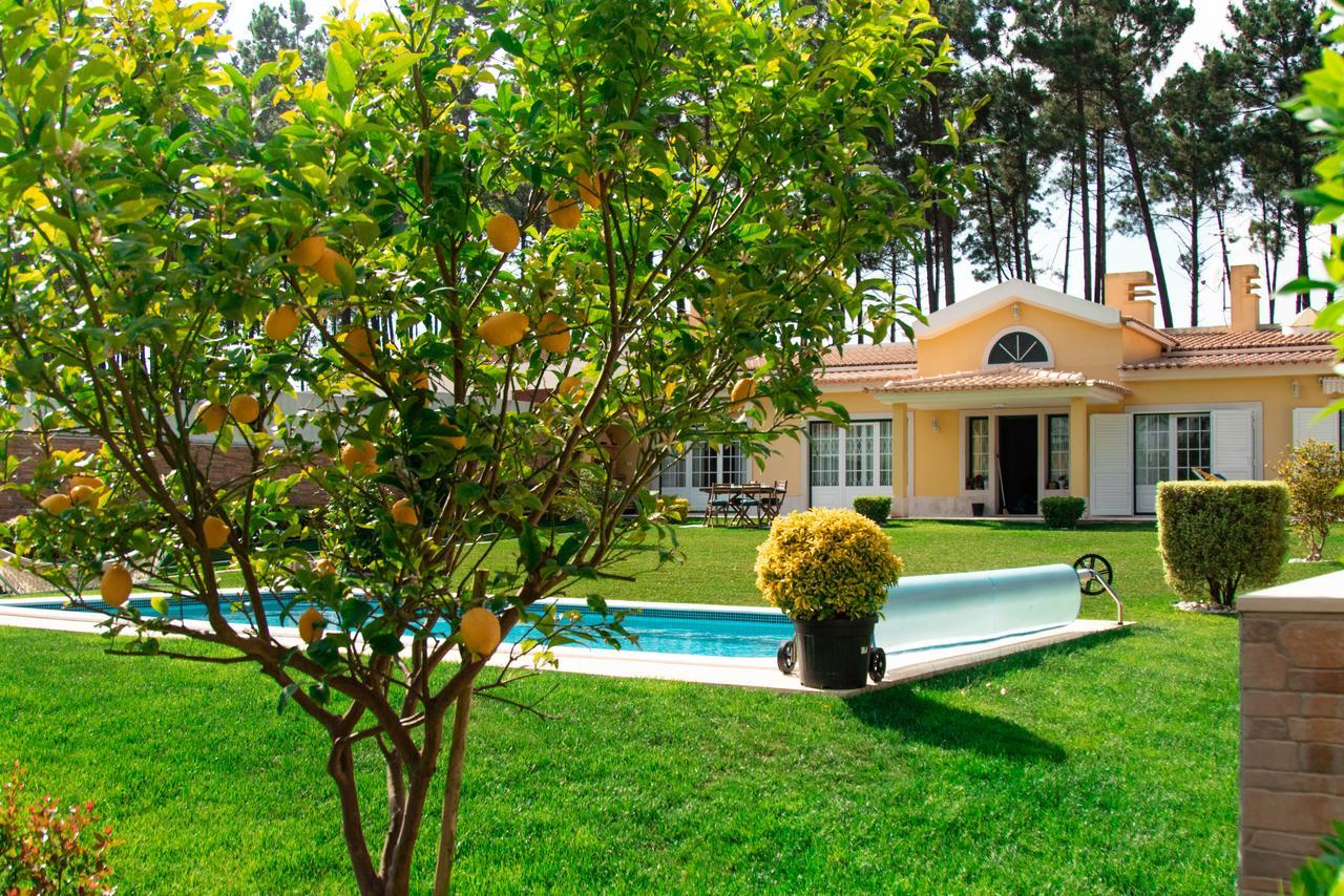 Verdizela Beach & Golf *